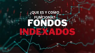 ¿Qué es y cómo funciona FONDOS INDEXADOS [upl. by Ely]