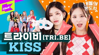 KISS💋를 부르는 트라이비💜 뱀파이어 vs 치어리더 트루의 선택은  트라이비 TRIBE  KISS  내돌의 온도차  GAP CRUSH [upl. by Ettenil]