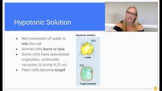 2 8 Tonicity amp Osmoregulation Part 2 [upl. by Yllac804]