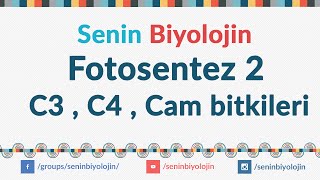 18 Fotosentez 2 C3  C4 ve Cam bitkileri [upl. by Kciremed]