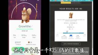 Pokémon Go 計算器使用方式 字幕版 [upl. by Glad997]