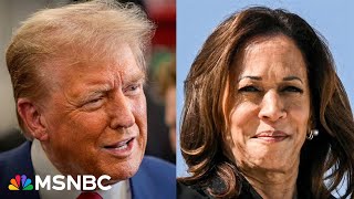 Harris narrows gap with Trump on key issues in PA MI WI Poll [upl. by Phylis]