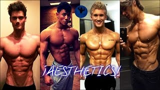 ¡AESTHETICS  Fitness Motivation [upl. by Jamey421]