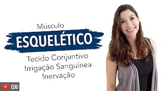 Músculo Esquelético 26 Tecido Conjuntivo Irrigação Sanguínea e Inervação  Anatomia e etc [upl. by Lavena]