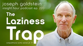 The Laziness Trap – Joseph Goldsteins Satipatthana Sutta Series Pt 17 –Insight Hour – Ep 220 [upl. by Yajnas]