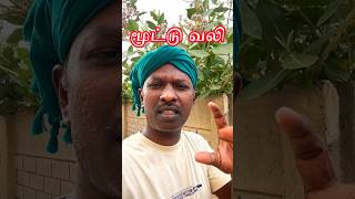 🦵 மூட்டு வலி குறையும் 🍀 health weightloss kneepain KneePainRelief knee iyarkaiyalanthavam [upl. by Clift]