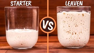 Sourdough Starter and Leaven Explained  Are They The Same Thing [upl. by Yehs]