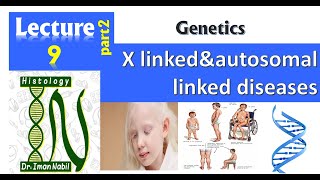 9bX linked and autosomal linked diseases Part 2Genrtics [upl. by Bailie]