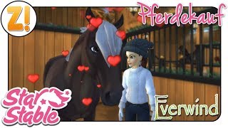 Star Stable SSO Everwind PFERDEKAUF DEUTSCH [upl. by Ahsiekam]