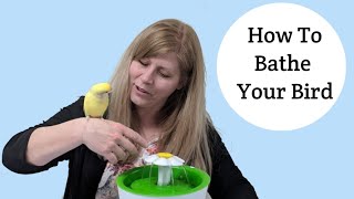 How to Bathe Your Bird 11 Ways [upl. by Llenehc]