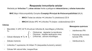 Inmunología 09  Respuesta inmunitaria celular [upl. by Boy230]