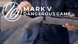 Mark V Dangerous Game Rifle [upl. by Nylek]