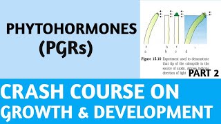 PhytohormonesPGRsClass 11NCERTPart 2Plant HormonesCrash CourseNEETAIIMSJIPMER [upl. by Lehcnom]