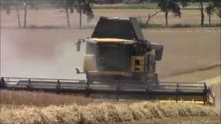 New Holland cr9090 Harvesting barley2014wvm [upl. by Fisher]