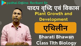 एथिलीन  पादप वृध्दि के अपरिमित नियम  Bharati Bhawan Class 11th Biology  जीवविज्ञान  in Hindi [upl. by Thomasin]