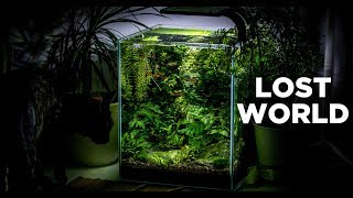 My LostWorld nano tank  The ultimate nature aquarium for beginners [upl. by Ettessil]