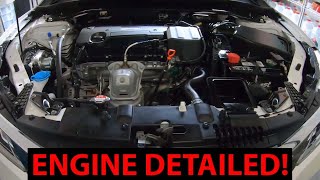 Car Engine Detailing on 2016 Honda Accord with Griots Garage Engine Cleaner amp Sun Joe SPX6001CXR [upl. by Tuttle]