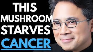 4 Mushrooms That Kill Cancer and Boost Immune System Dr William Li [upl. by Vharat]