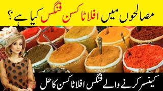 AFLATOXIN FUNGUS  Do Not Eat Spices Again Until You Watch This [upl. by Niram282]