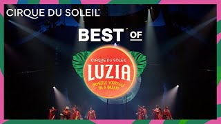 The Best of LUZIA  Cirque du Soleil [upl. by Tewfik633]