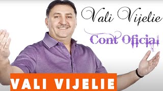 Vali Vijelie  Iauzi viata mea [upl. by Giorgi]