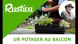 Créer une Jardinière de plantes à feuillage décoratif [upl. by Hite827]