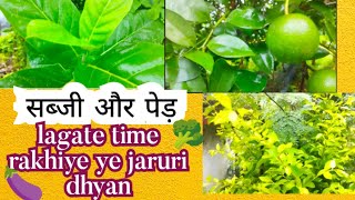 mene Kari itni badi galti 😓😟😰trending gardening [upl. by Anileve]