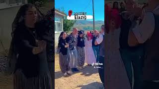 Elazığ halay halaybaşi delilo Grani Diyarbakır keşfetteyiz elazığ [upl. by Llirpa]