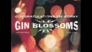 Gin Blossoms As Long AS It Matters Acoustic [upl. by Aknahs]