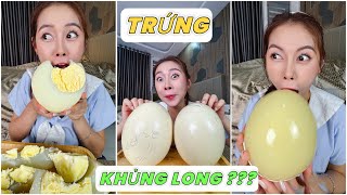 Săn Lùng 2 Quả Trứng KHỦNG LONG [upl. by Einehpets]