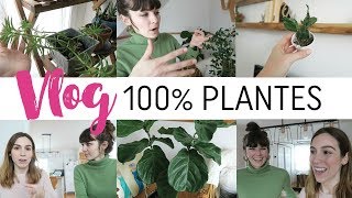 PLANTES DINTÉRIEUR 101 [upl. by Bivins]