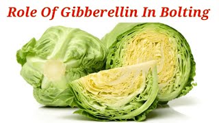 Role Of Gibberellin In Bolting Of Rosette Plant  Lec 46  Plant Physiology [upl. by Arral165]