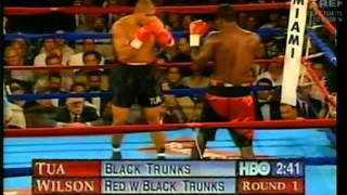 David Tua vs Darroll Wilson 20091996 [upl. by Lyckman]