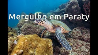 Mergulho em Paraty  Ilha dos ratos [upl. by Farhi647]