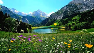 Hiking amp exploring the lovely hidden swiss lake Lauenensee Switzerland❤️🇨🇭💕2023 [upl. by Regen]