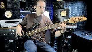 PIL  Rise  Bass Cover [upl. by Angelita]