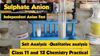 Analysis of Sulphate Anion  Salt Analysis  Class 12  Chemistry  NCERT  CBSE  Practical [upl. by Monro679]