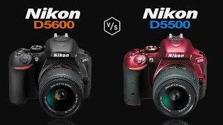 Nikon D5600 vs Nikon D5500 [upl. by Binni359]