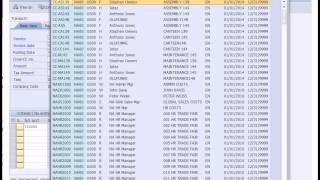 SAP Financial Accounting [upl. by Aihsoem46]