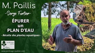 RÉCOLTER LES PLANTES AQUATIQUES POUR ÉPURER LES PLANS DEAU ET ENRICHIR SON SOL  AVEC SERGE FORTIER [upl. by Clarie]