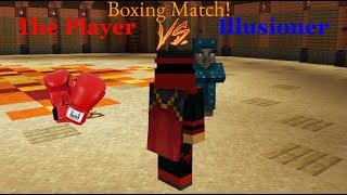 Minecraft the Illusioner Boxing Match [upl. by Ailel]