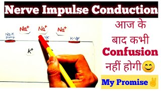 quotNerve Impulse Conductionquot हमेशा के लिए CONFUSION दूर🔥 Easiest Explaination😎 Neet Confusion Series [upl. by Pruter]