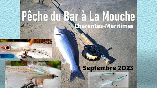 Pêche du bar à la mouche sur la plage  Surf Fly fishing sea bass [upl. by Monia580]