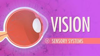 Vision Crash Course Anatomy amp Physiology 18 [upl. by Pomfret]