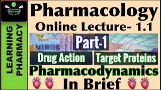 Part1  Pharmacology CH 11  Pharmacodynamics In Brief  Drug action amp Different Target Proteins [upl. by Rider]