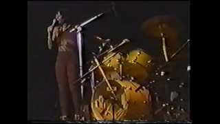 The Brides of Funkenstein FULL SHOW 3181979 Houston [upl. by Ahsiekal304]