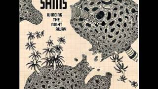 The Shins  Phantom Limb [upl. by Pompea]