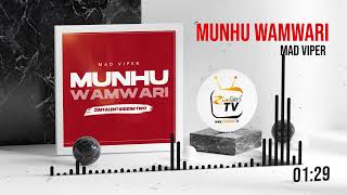 Mad Viper  Munhu waMwari on ZimTalent Riddim 2 Official Audio [upl. by Hirai]