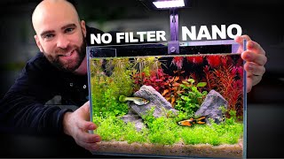 Nano Ecosystem Fish Tank You Can Put Anywhere [upl. by Gibson]