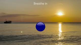 Daily Coherent Breathing Exercize For Overall Wellness [upl. by Ahsilem301]